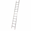 rise-tec-11-step-ladder-lean-on-8606000011-1.jpg